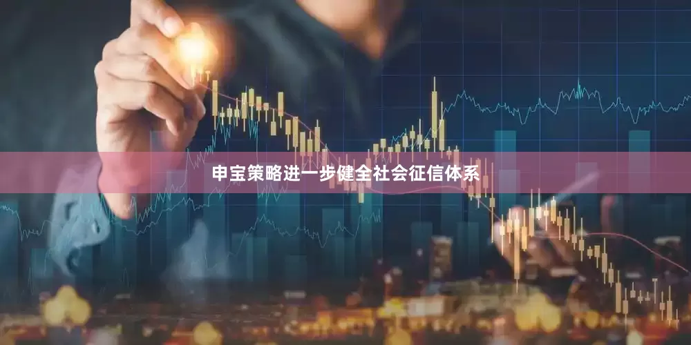 申宝策略进一步健全社会征信体系