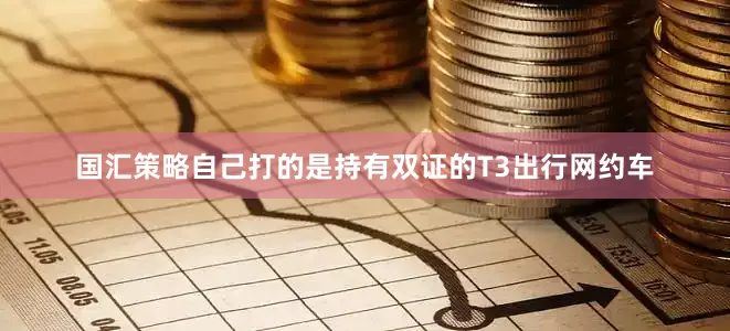 国汇策略自己打的是持有双证的T3出行网约车