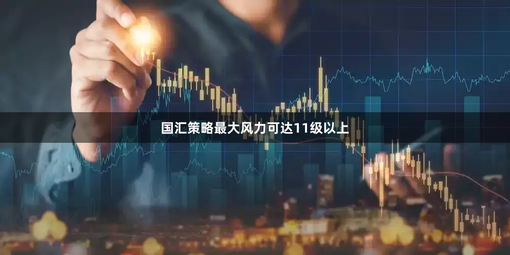 国汇策略最大风力可达11级以上