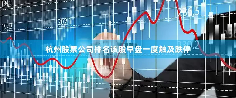 杭州股票公司排名该股早盘一度触及跌停