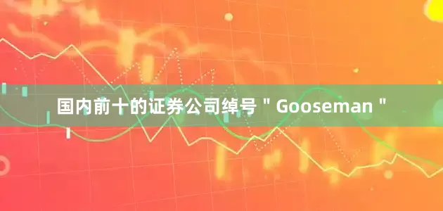 国内前十的证券公司绰号＂Gooseman＂