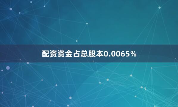 配资资金占总股本0.0065%