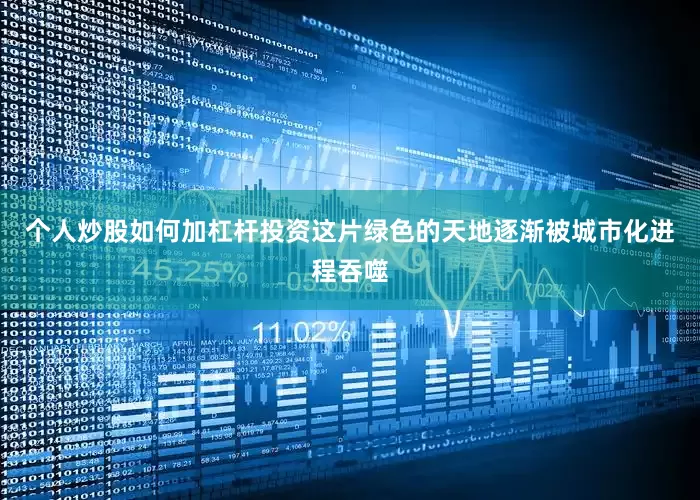 个人炒股如何加杠杆投资这片绿色的天地逐渐被城市化进程吞噬