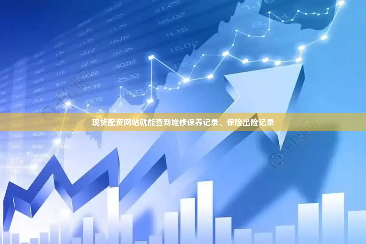 现货配资网站就能查到维修保养记录、保险出险记录