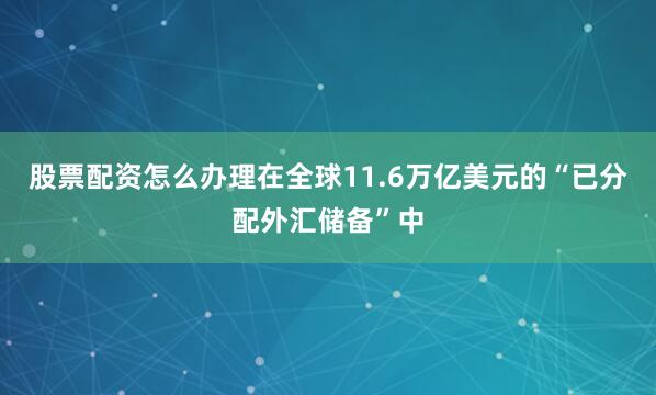 股票配资怎么办理在全球11.6万亿美元的“已分配外汇储备”中