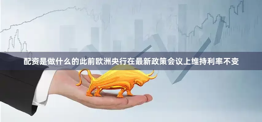 配资是做什么的此前欧洲央行在最新政策会议上维持利率不变